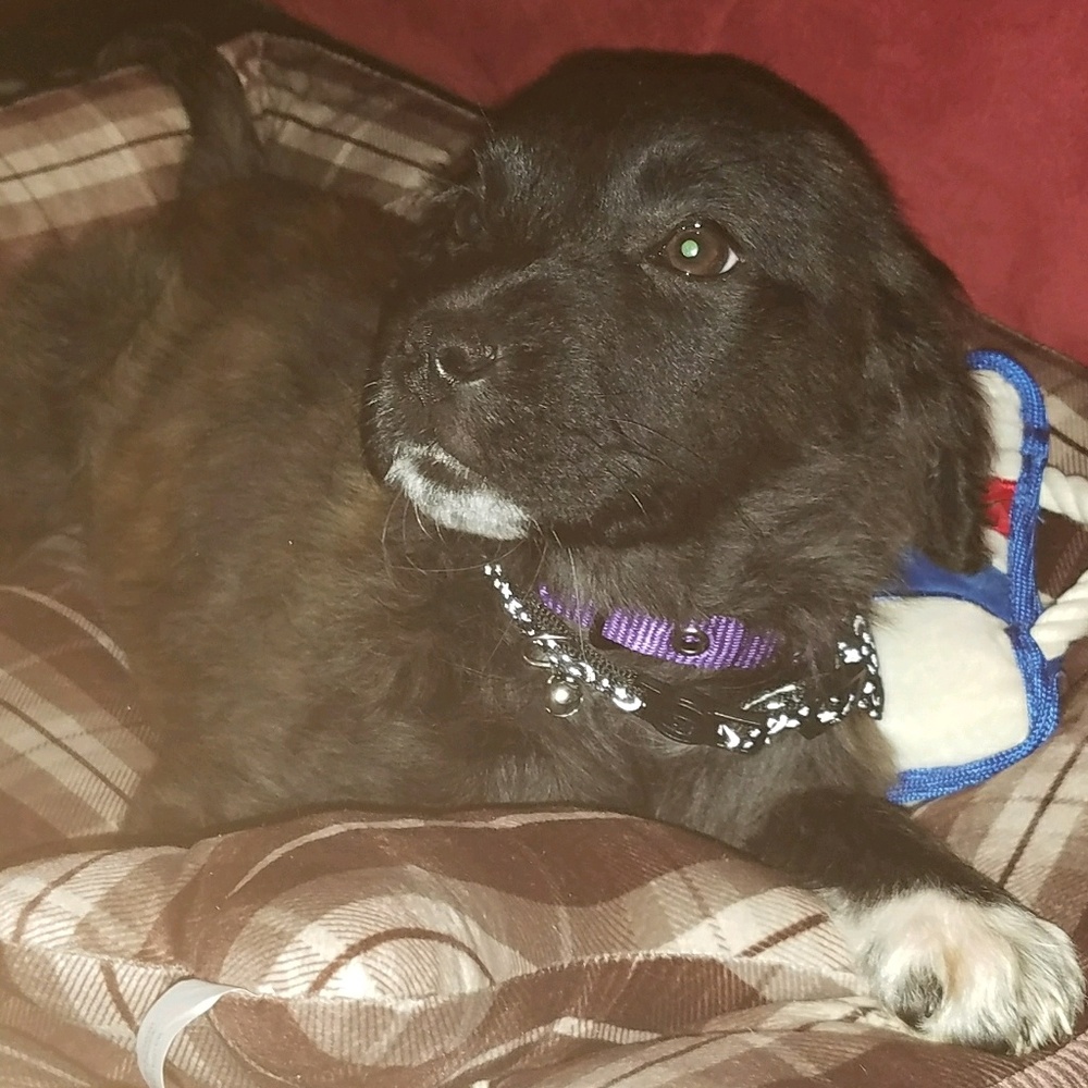 Meet your Posher, Ila